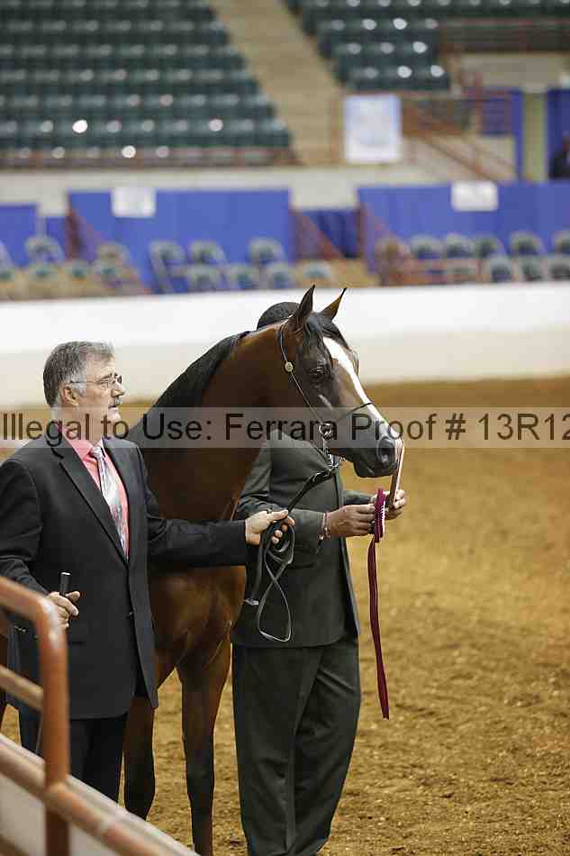 Proof Number 13r12_3308