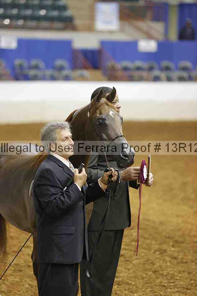 Proof Number 13r12_3312