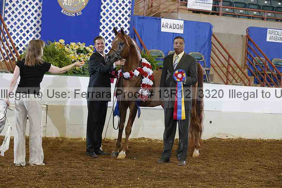 Proof Number 13r12_3320