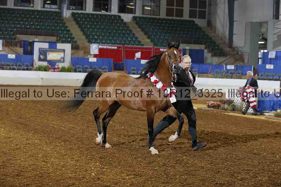 Proof Number 13r12_3325