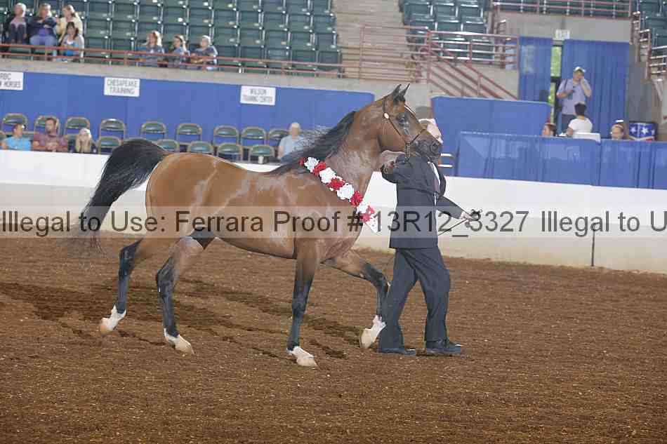 Proof Number 13r12_3327