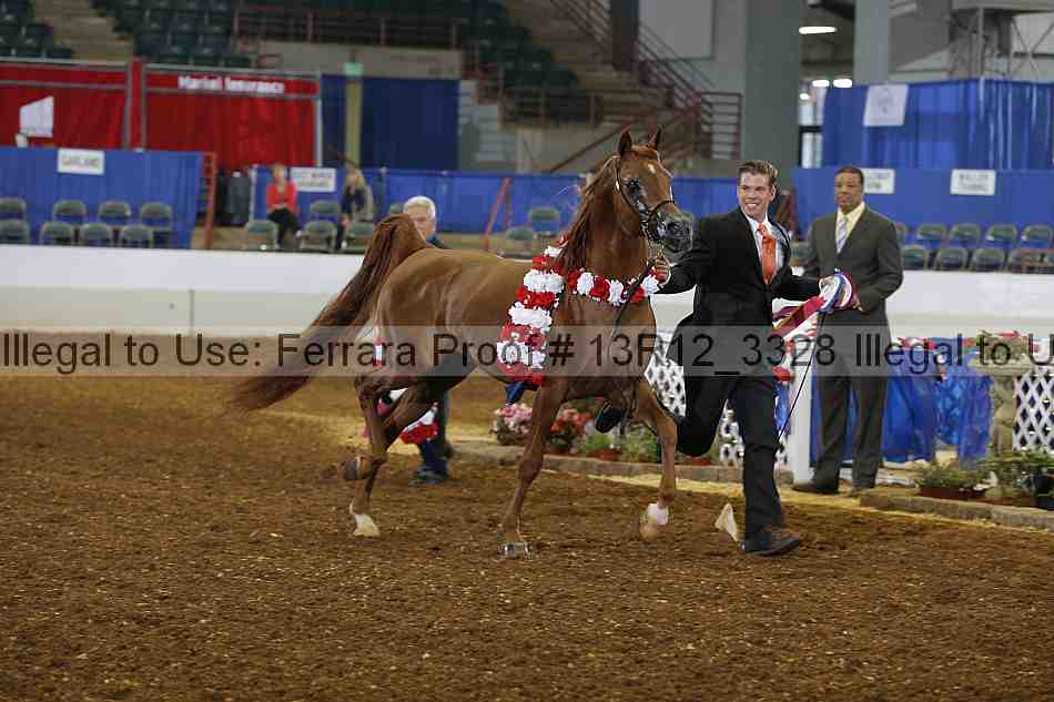 Proof Number 13r12_3328