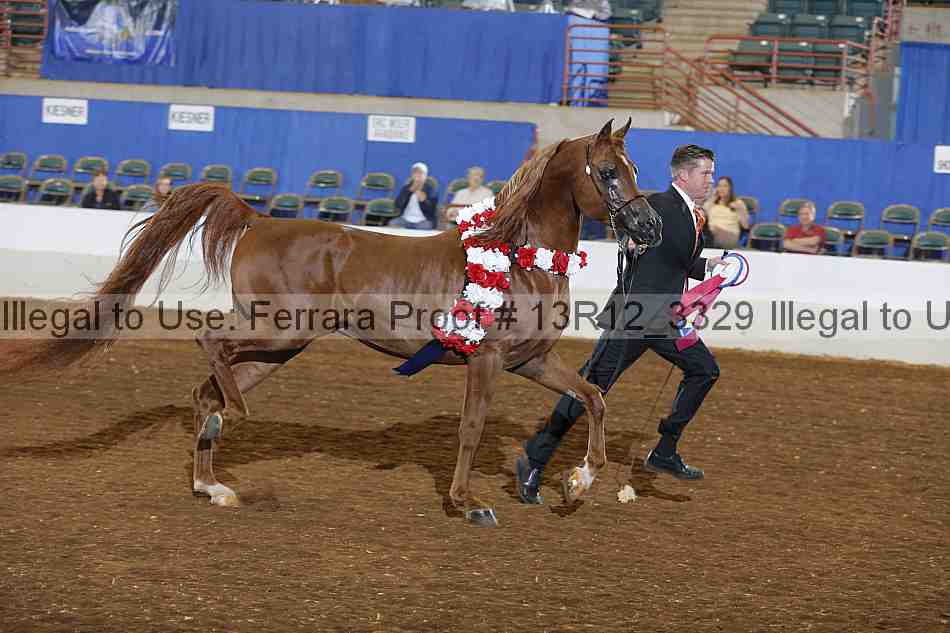 Proof Number 13r12_3329