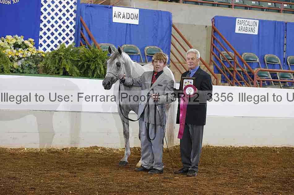 Proof Number 13r12_3356