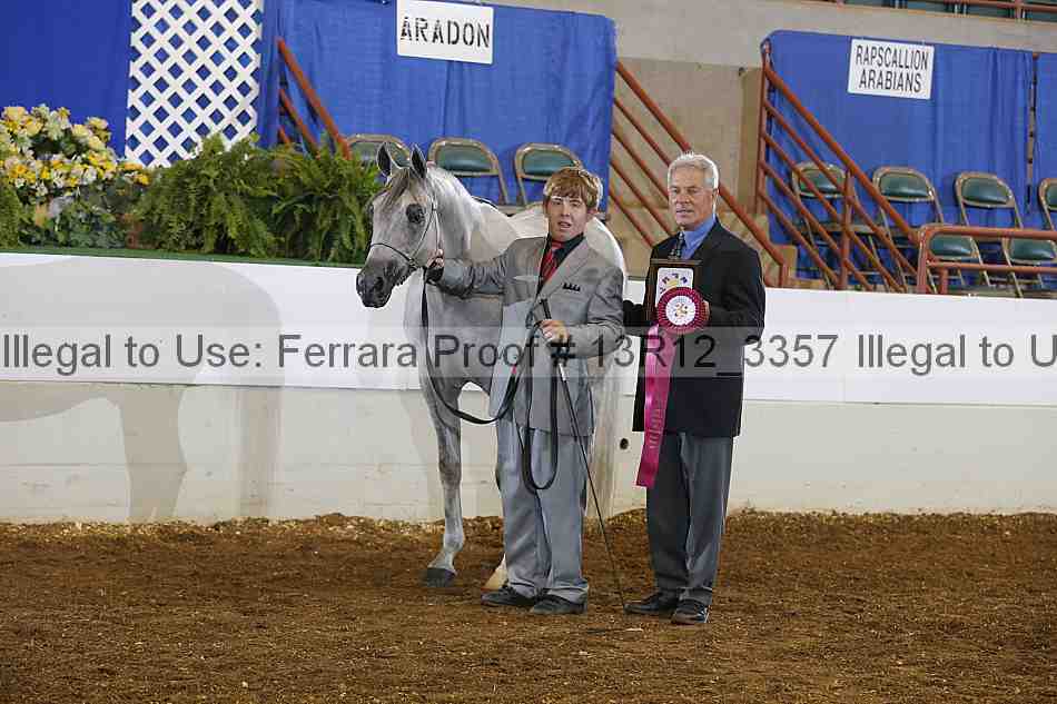 Proof Number 13r12_3357
