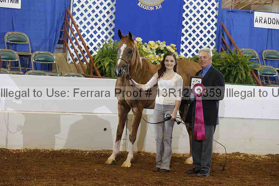 Proof Number 13r12_3359