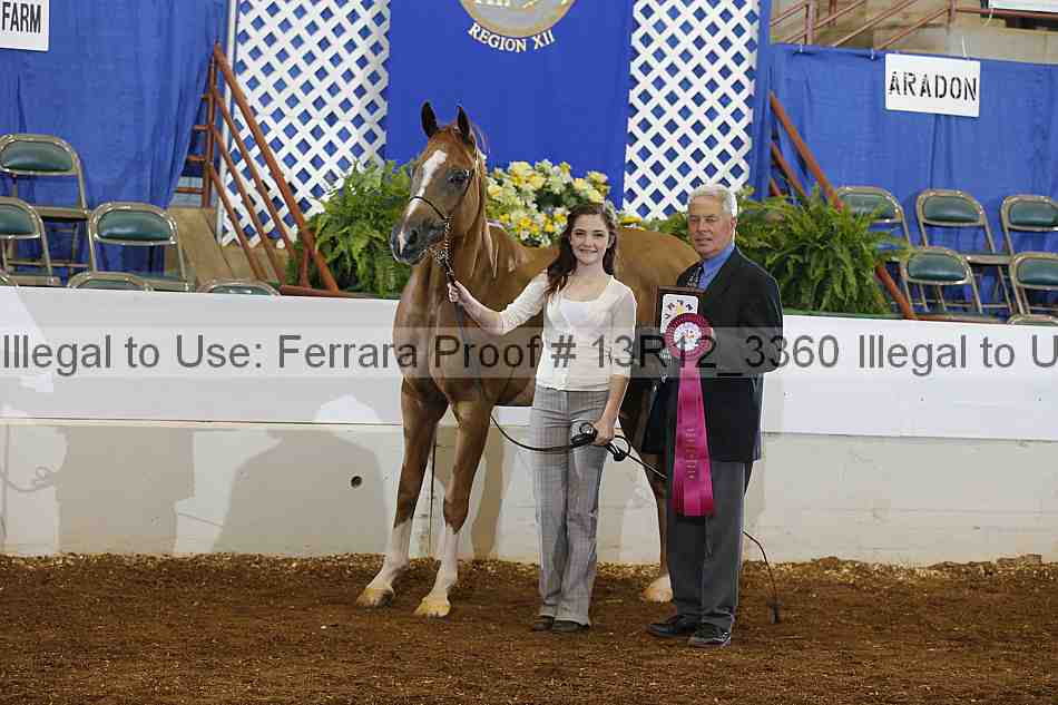 Proof Number 13r12_3360