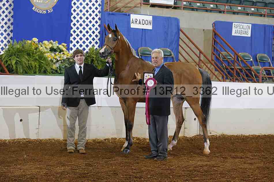 Proof Number 13r12_3362