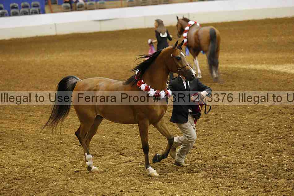 Proof Number 13r12_3376