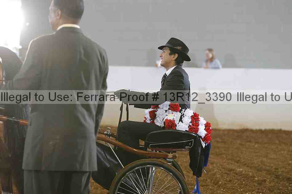 Proof Number 13r12_3390