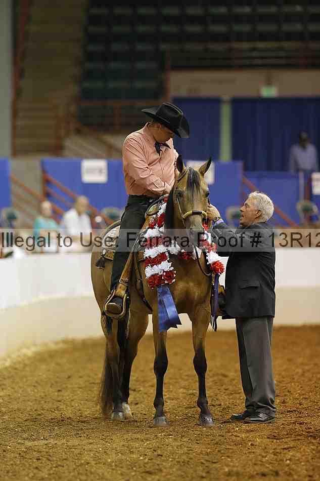 Proof Number 13r12_3428