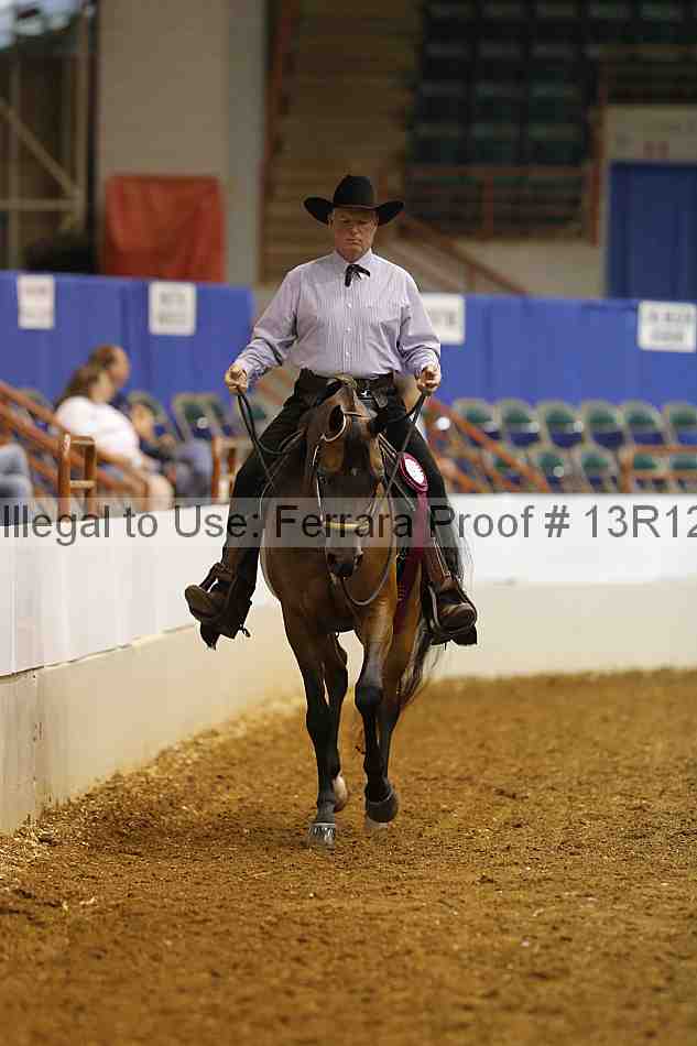 Proof Number 13r12_3435