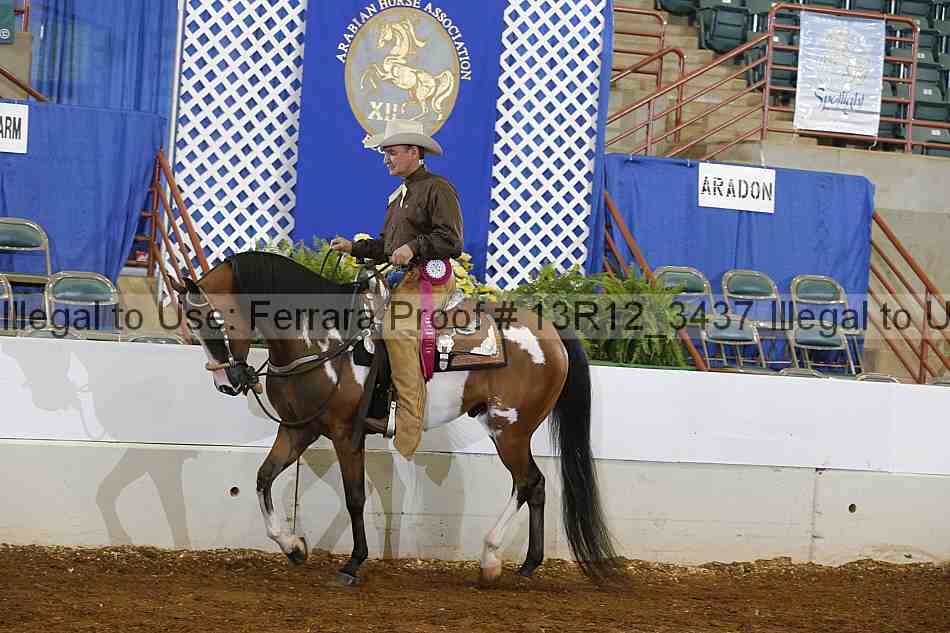 Proof Number 13r12_3437
