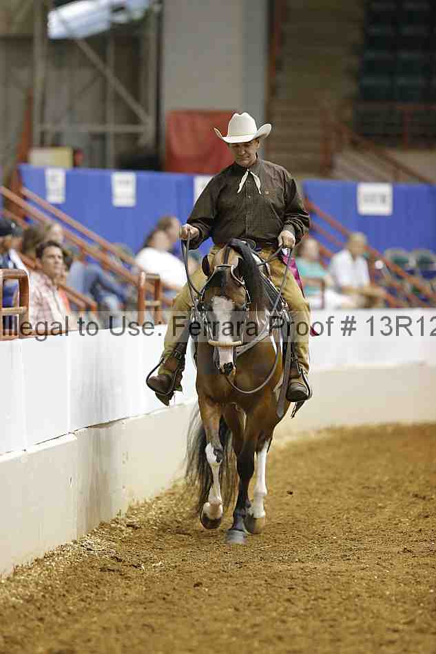 Proof Number 13r12_3439