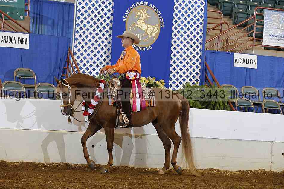 Proof Number 13r12_3443