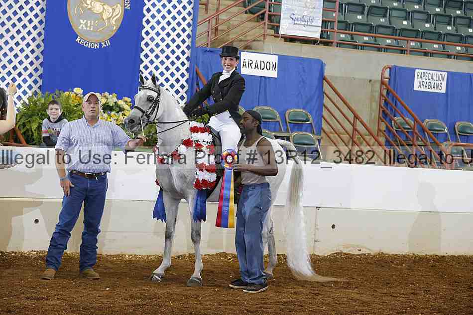 Proof Number 13r12_3482