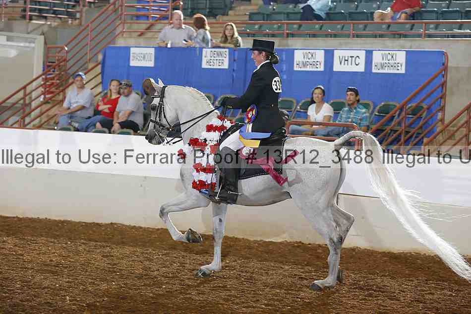 Proof Number 13r12_3488