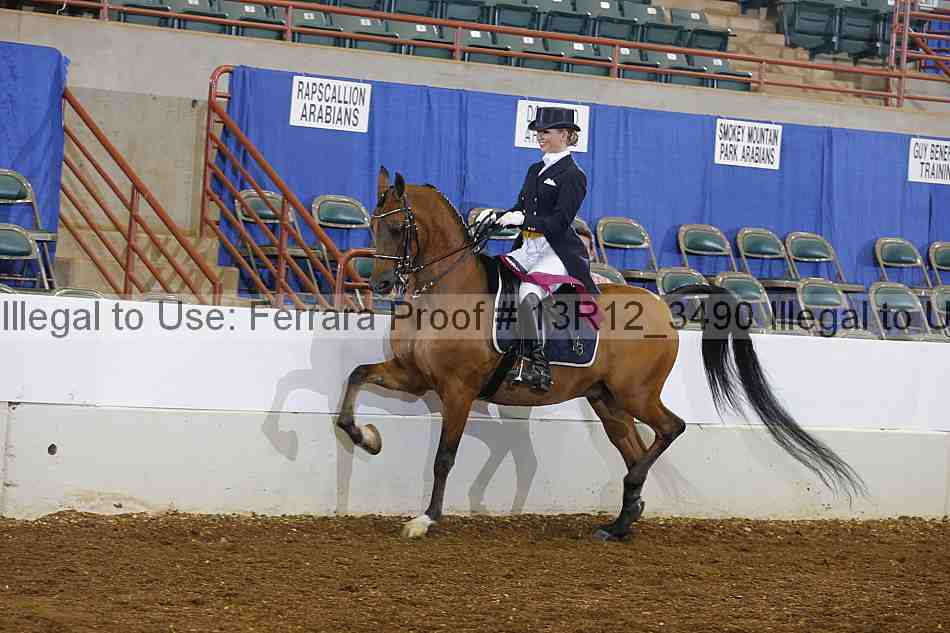 Proof Number 13r12_3490