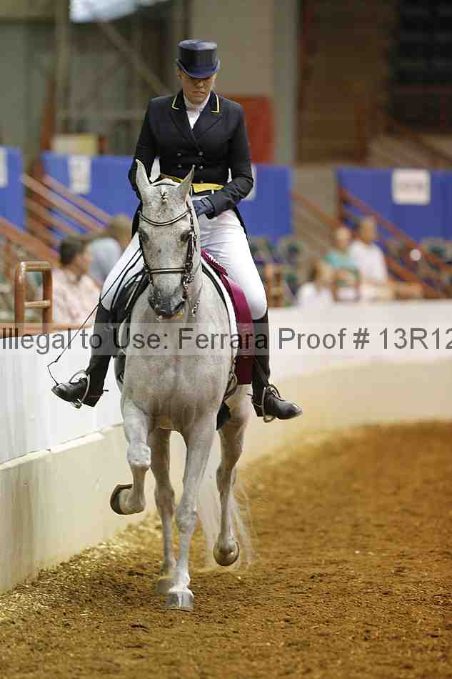 Proof Number 13r12_3494