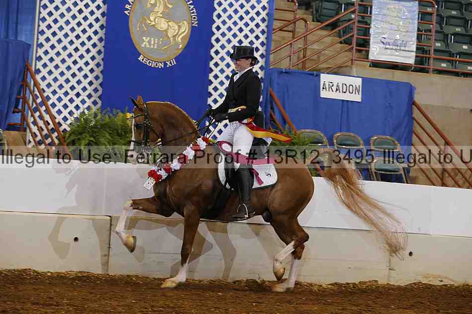 Proof Number 13r12_3495