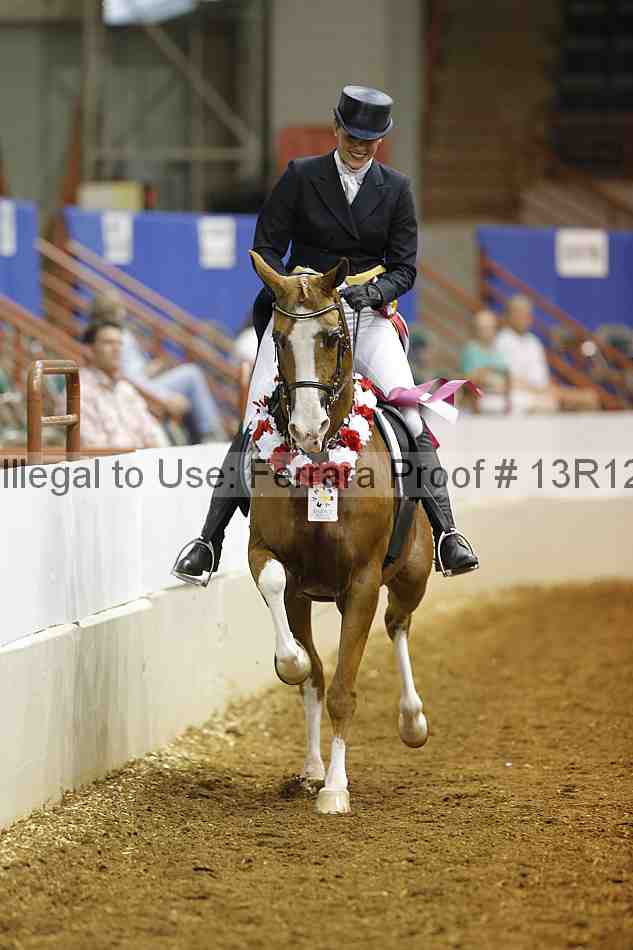 Proof Number 13r12_3497