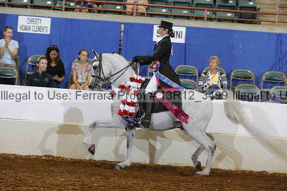 Proof Number 13r12_3499