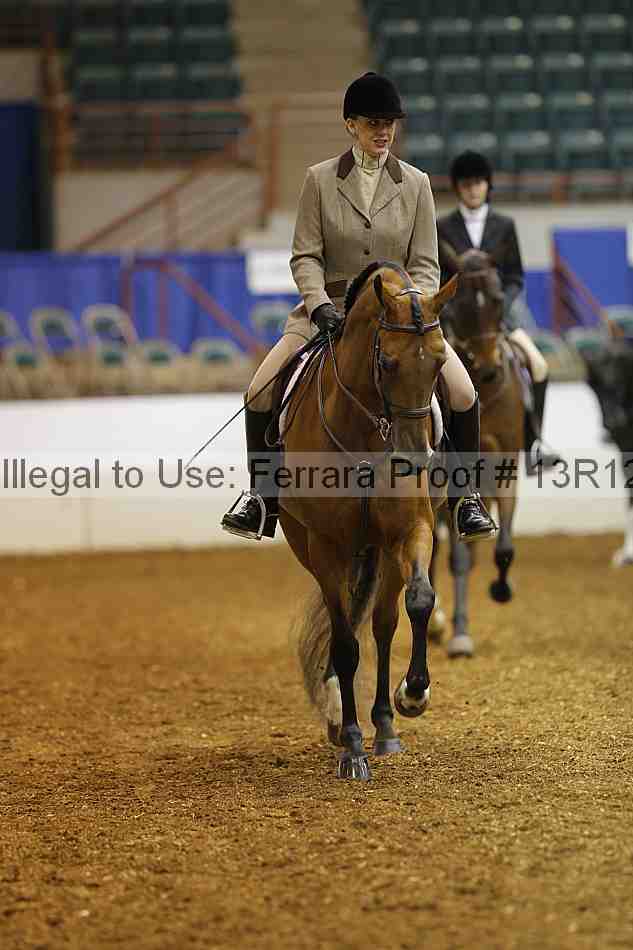 Proof Number 13r12_3551