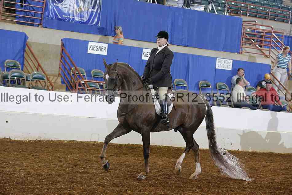 Proof Number 13r12_3552