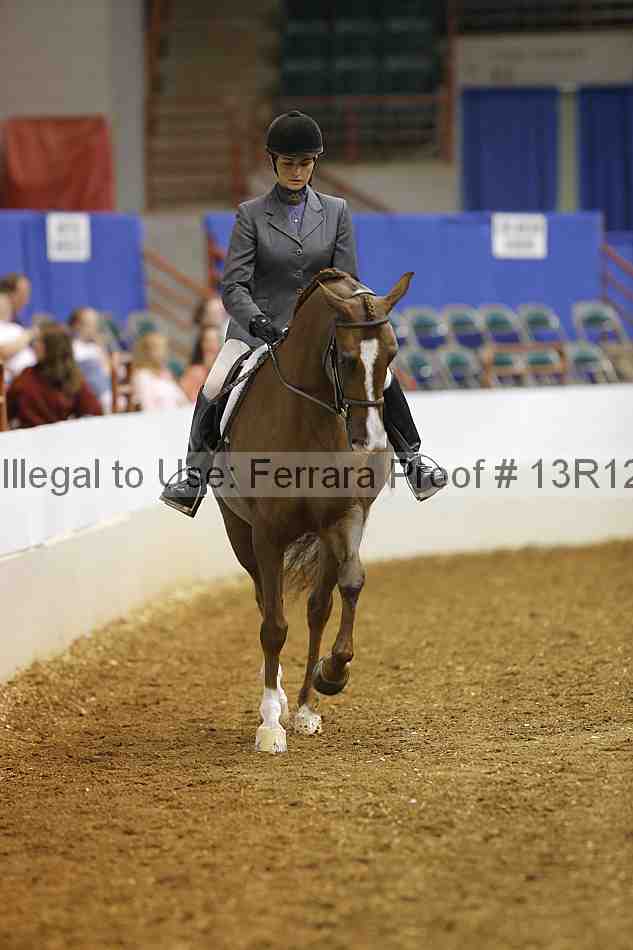 Proof Number 13r12_3553