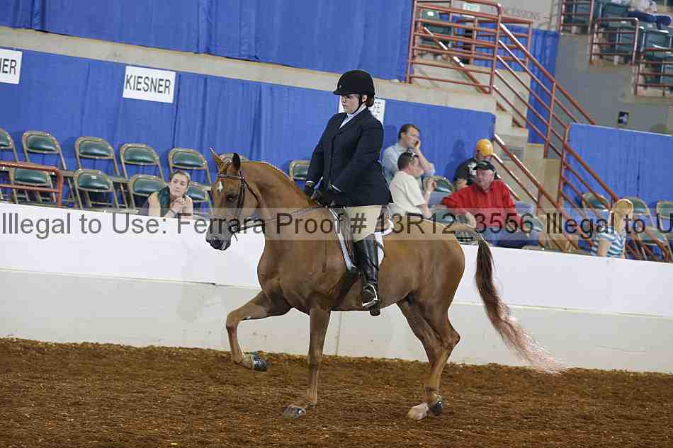 Proof Number 13r12_3556