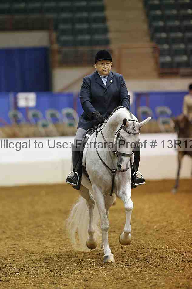 Proof Number 13r12_3558