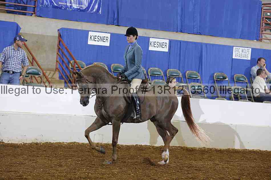 Proof Number 13r12_3560
