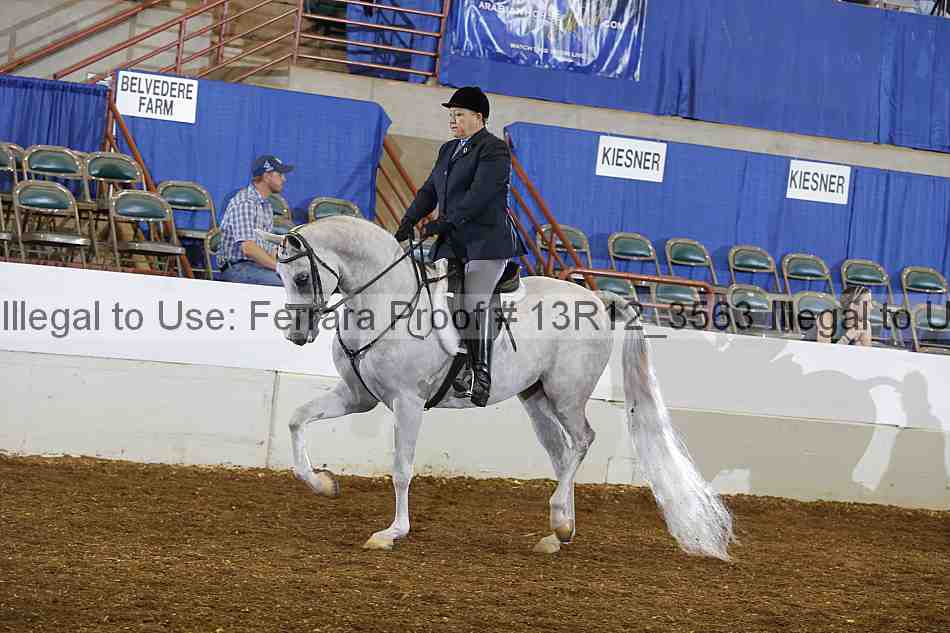 Proof Number 13r12_3563