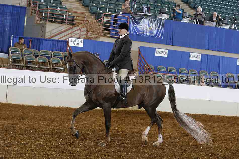 Proof Number 13r12_3564