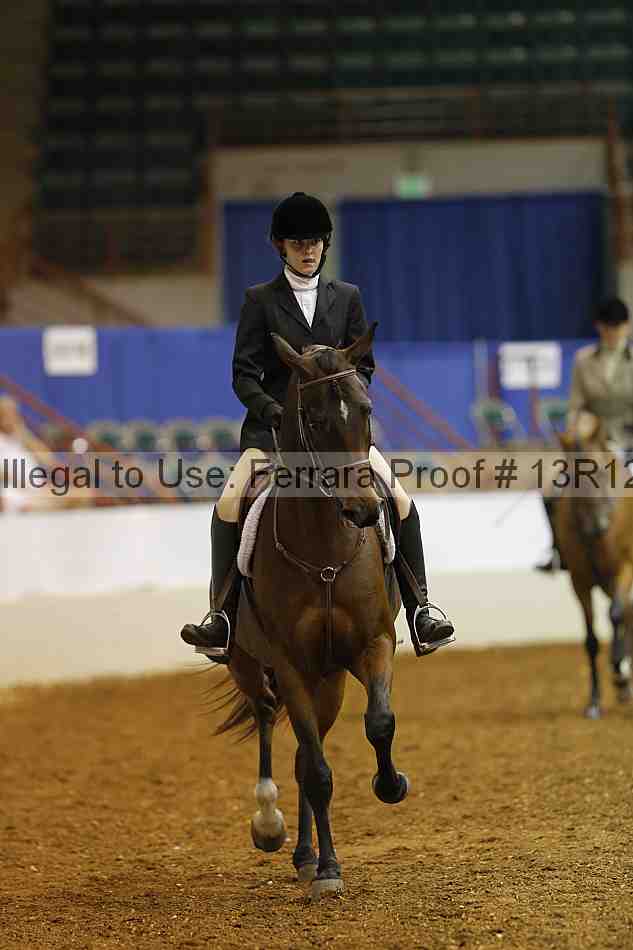 Proof Number 13r12_3565
