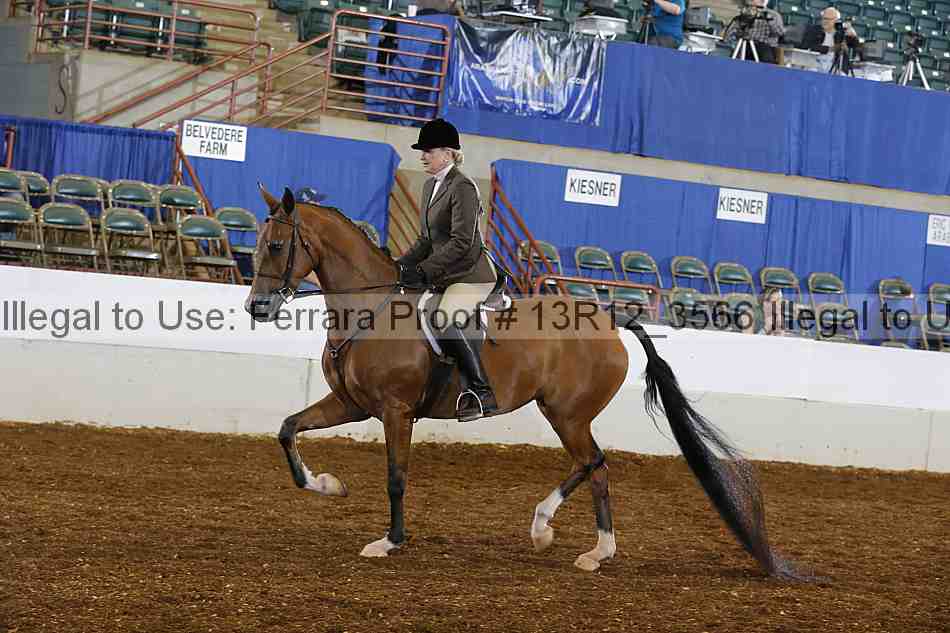 Proof Number 13r12_3566