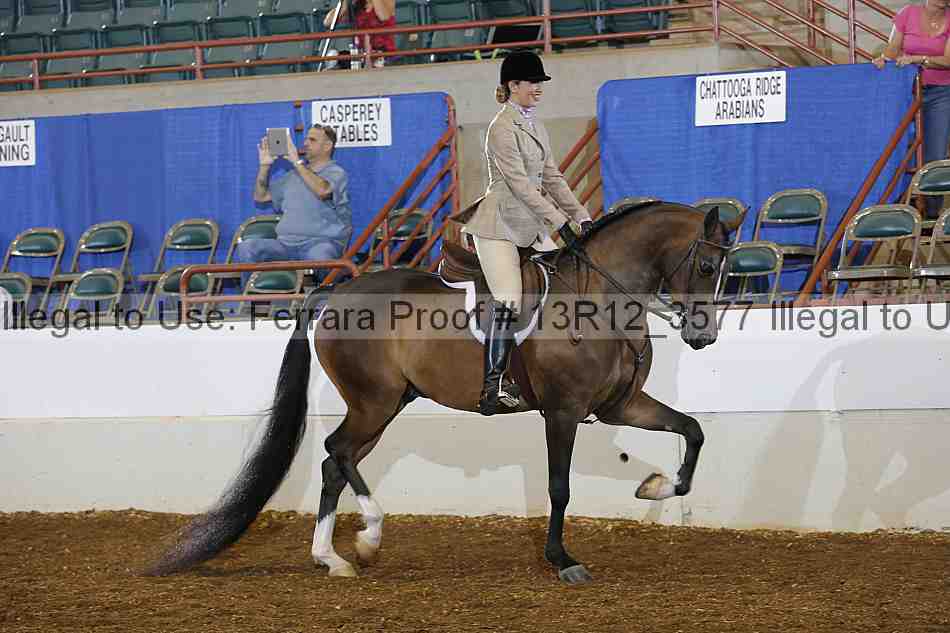 Proof Number 13r12_3577