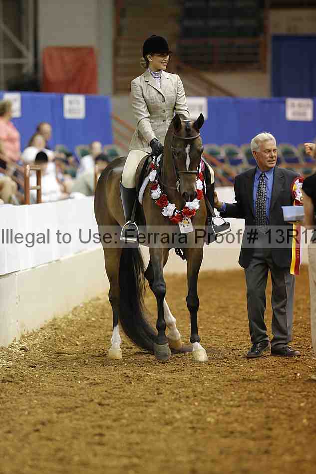 Proof Number 13r12_3583