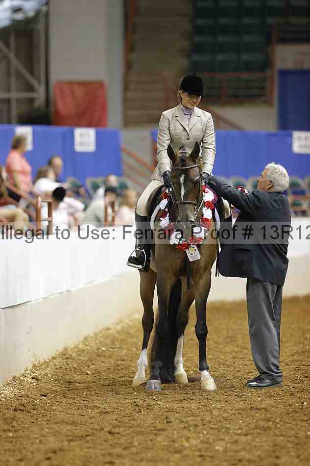 Proof Number 13r12_3584