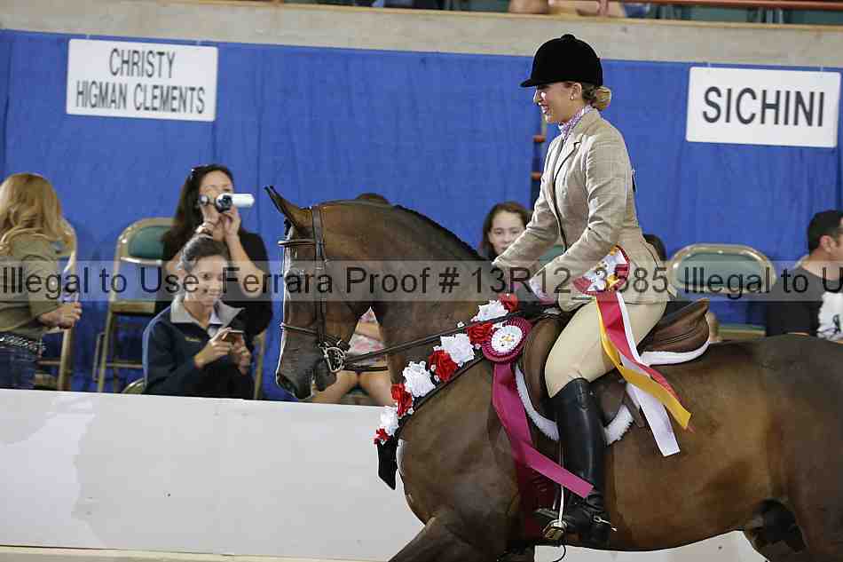 Proof Number 13r12_3585