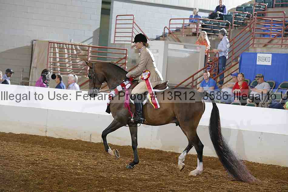 Proof Number 13r12_3586