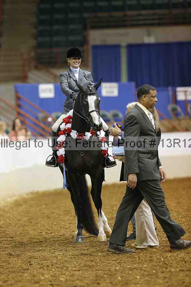 Proof Number 13r12_3591