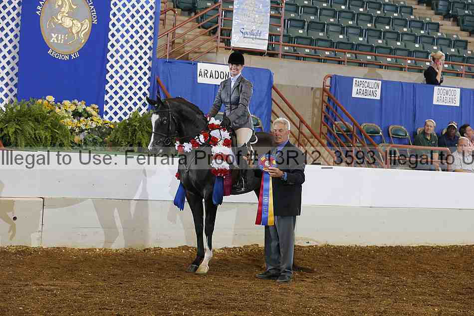 Proof Number 13r12_3593