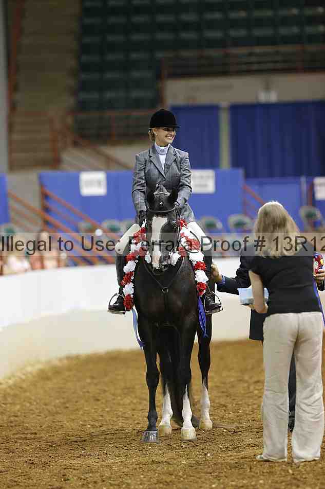 Proof Number 13r12_3594