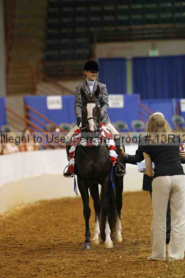 Proof Number 13r12_3595