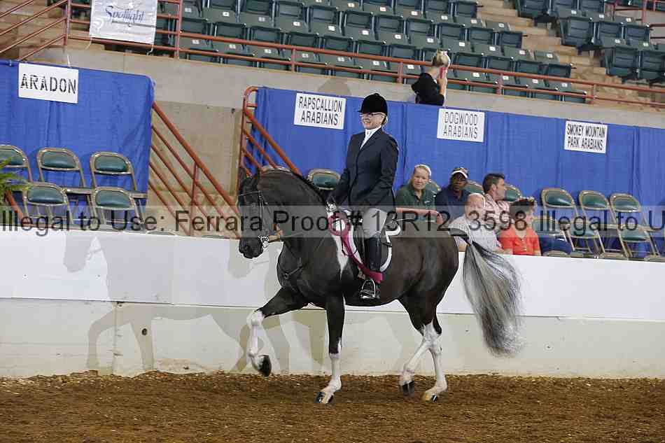 Proof Number 13r12_3598