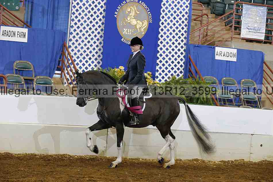 Proof Number 13r12_3599