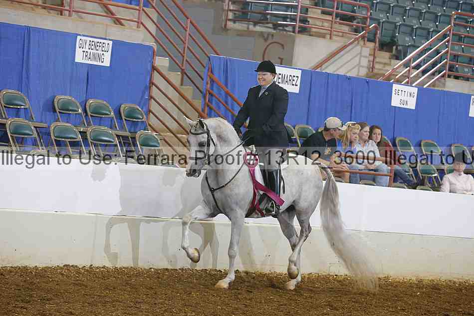 Proof Number 13r12_3600
