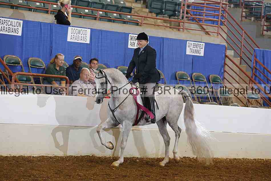 Proof Number 13r12_3601