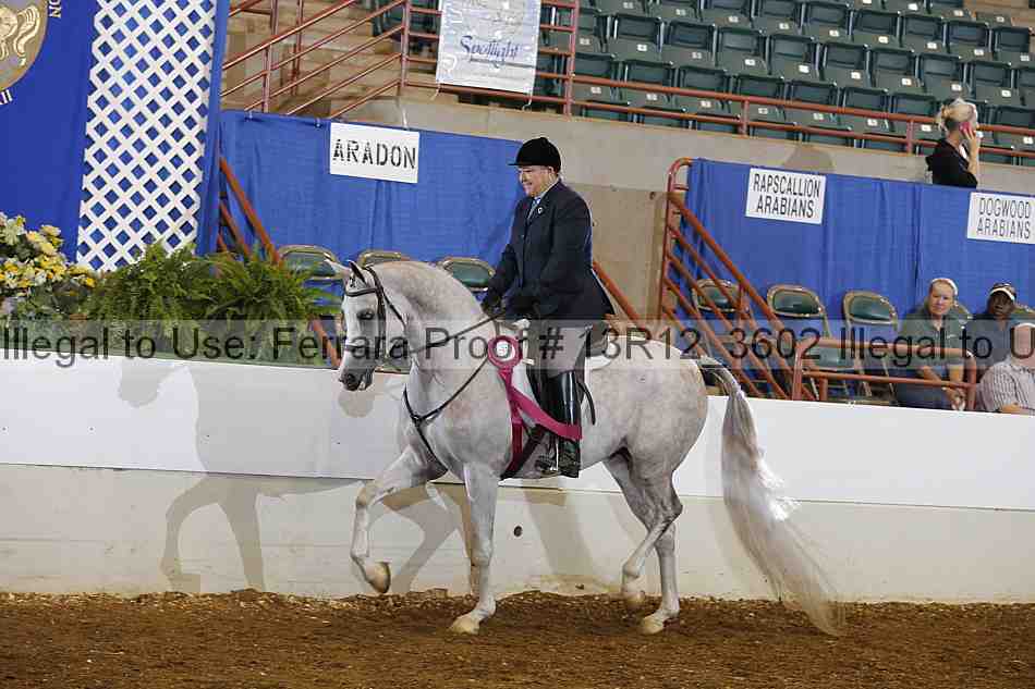 Proof Number 13r12_3602